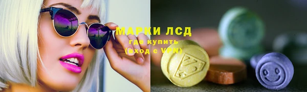 шишки Арсеньев