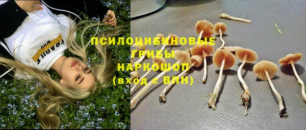 амф Балахна