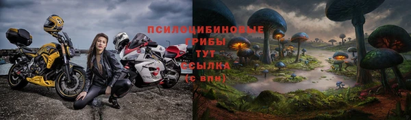 амф Балахна
