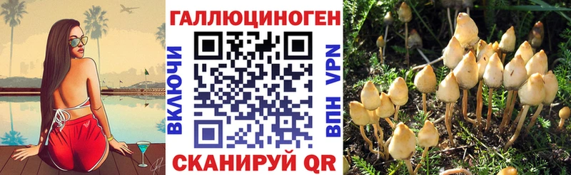 купить  сайты  Великий Устюг  МЕГА tor  Псилоцибиновые грибы Psilocybe 